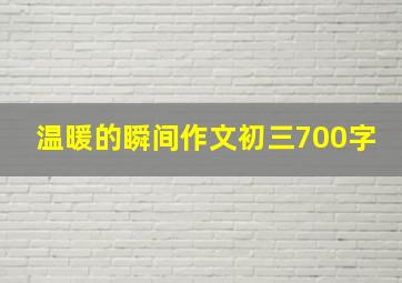 温暖的瞬间作文初三700字