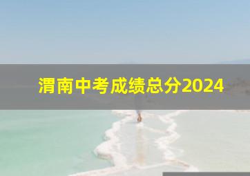 渭南中考成绩总分2024