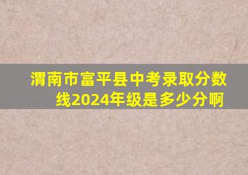 渭南市富平县中考录取分数线2024年级是多少分啊