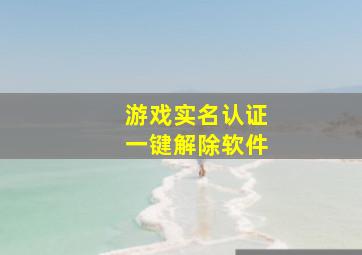 游戏实名认证一键解除软件