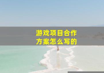 游戏项目合作方案怎么写的