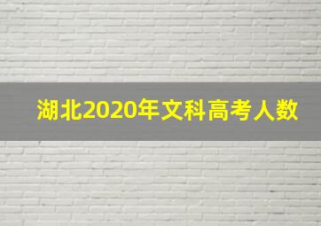 湖北2020年文科高考人数