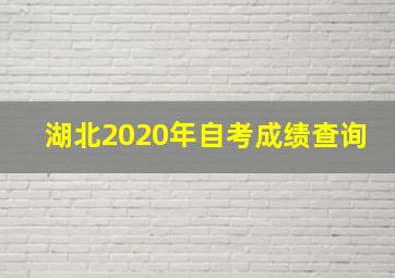 湖北2020年自考成绩查询