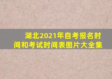 湖北2021年自考报名时间和考试时间表图片大全集