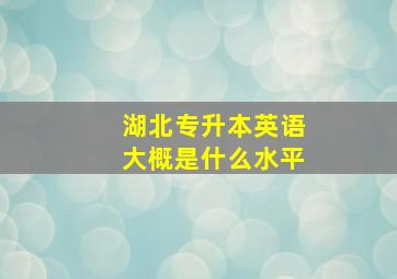 湖北专升本英语大概是什么水平