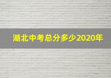 湖北中考总分多少2020年