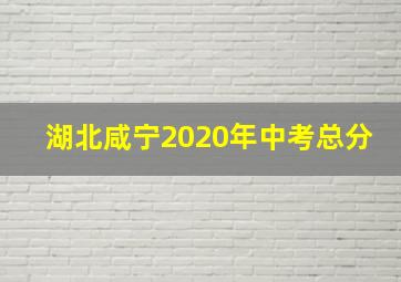 湖北咸宁2020年中考总分