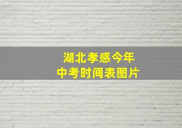 湖北孝感今年中考时间表图片