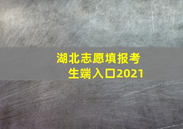 湖北志愿填报考生端入口2021