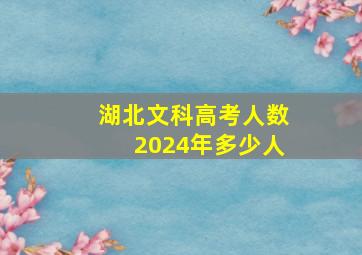 湖北文科高考人数2024年多少人