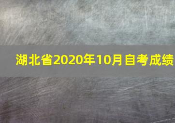 湖北省2020年10月自考成绩