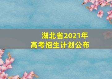 湖北省2021年高考招生计划公布