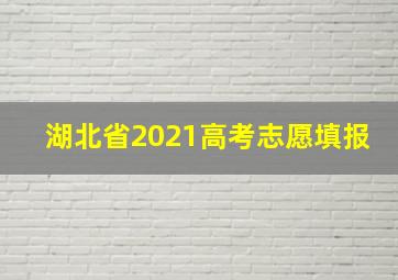 湖北省2021高考志愿填报