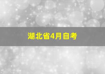 湖北省4月自考