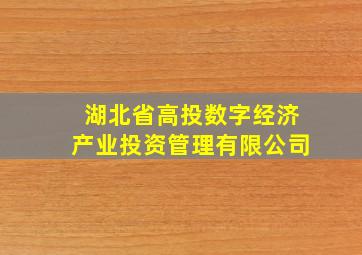 湖北省高投数字经济产业投资管理有限公司