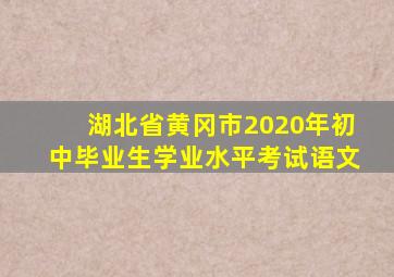 湖北省黄冈市2020年初中毕业生学业水平考试语文