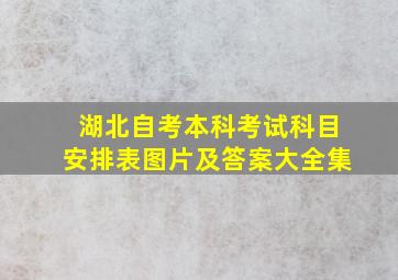 湖北自考本科考试科目安排表图片及答案大全集