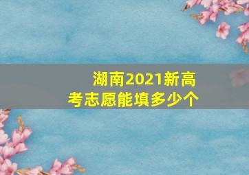 湖南2021新高考志愿能填多少个