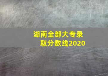 湖南全部大专录取分数线2020