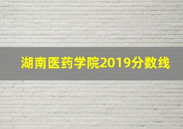 湖南医药学院2019分数线