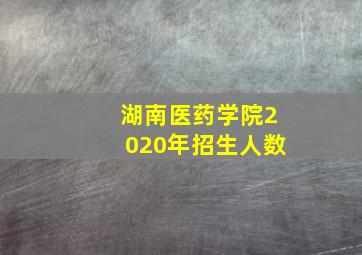 湖南医药学院2020年招生人数