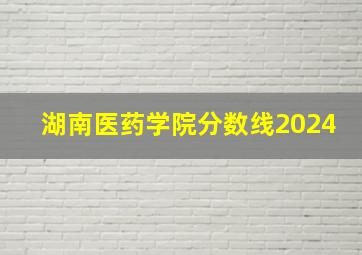 湖南医药学院分数线2024