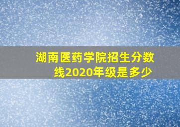 湖南医药学院招生分数线2020年级是多少