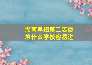 湖南单招第二志愿填什么学校容易进