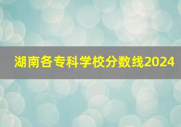 湖南各专科学校分数线2024