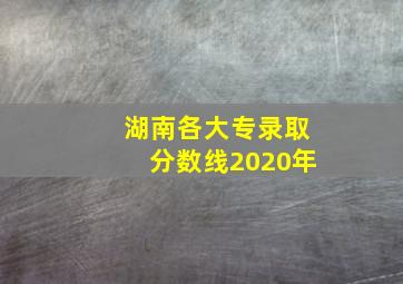 湖南各大专录取分数线2020年