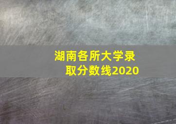 湖南各所大学录取分数线2020