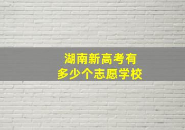 湖南新高考有多少个志愿学校