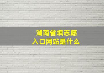 湖南省填志愿入口网站是什么