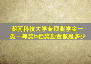 湖南科技大学专项奖学金一类一等奖b档奖励金额是多少