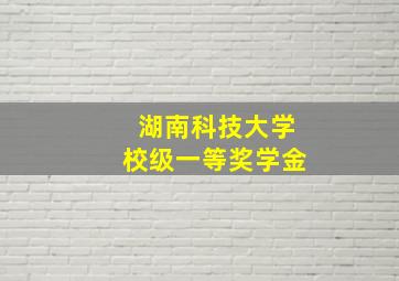 湖南科技大学校级一等奖学金