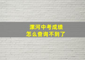 漯河中考成绩怎么查询不到了