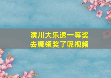 潢川大乐透一等奖去哪领奖了呢视频