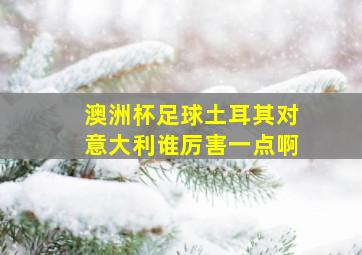 澳洲杯足球土耳其对意大利谁厉害一点啊