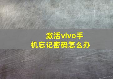 激活vivo手机忘记密码怎么办