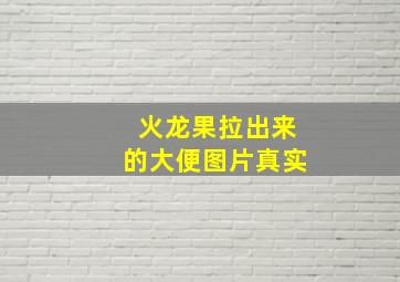 火龙果拉出来的大便图片真实