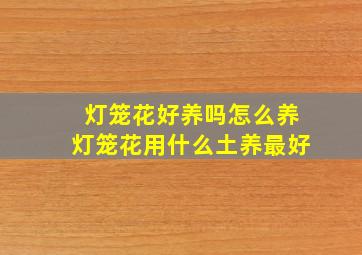 灯笼花好养吗怎么养灯笼花用什么土养最好