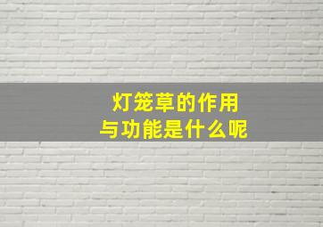 灯笼草的作用与功能是什么呢