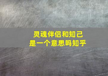 灵魂伴侣和知己是一个意思吗知乎