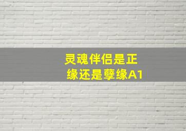 灵魂伴侣是正缘还是孽缘A1