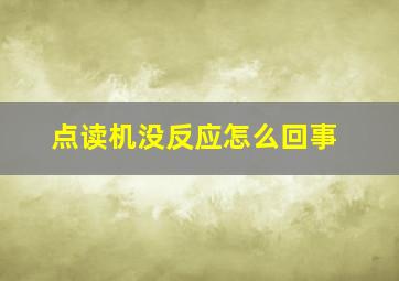 点读机没反应怎么回事