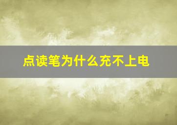 点读笔为什么充不上电