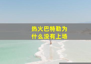 热火巴特勒为什么没有上场