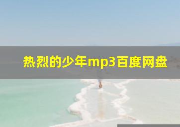 热烈的少年mp3百度网盘