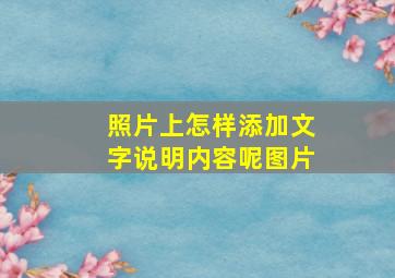 照片上怎样添加文字说明内容呢图片