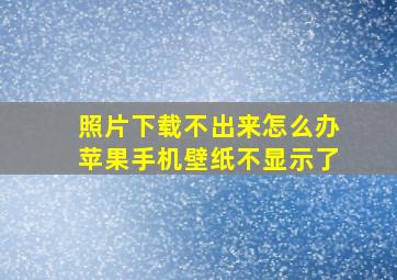 照片下载不出来怎么办苹果手机壁纸不显示了